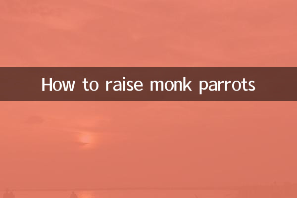 How to raise monk parrots