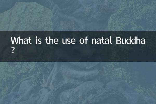 নাটাল বুদ্ধের ব্যবহার কী?