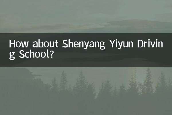 How about Shenyang Yiyun Driving School?