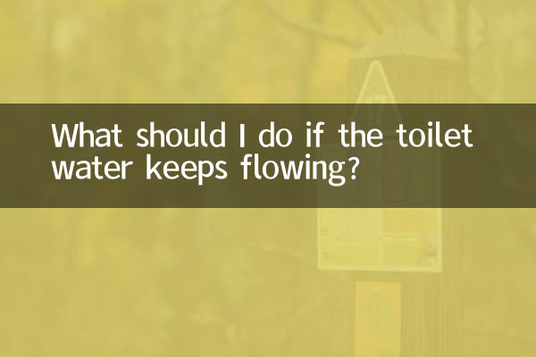What should I do if the toilet water keeps flowing?