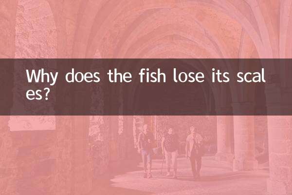 Why does the fish lose its scales?