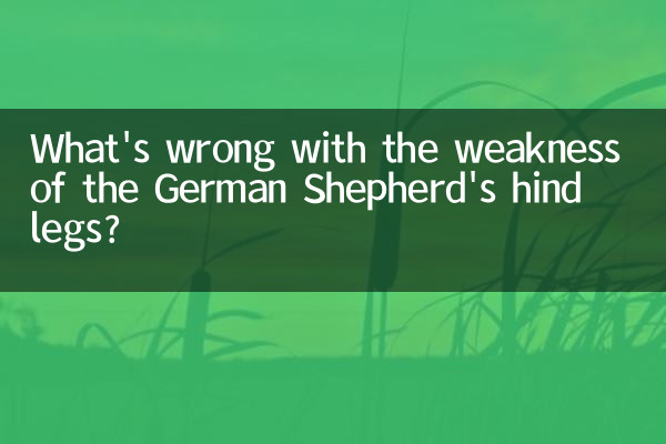 Quel est le problème avec la faiblesse des pattes postérieures du berger allemand ?