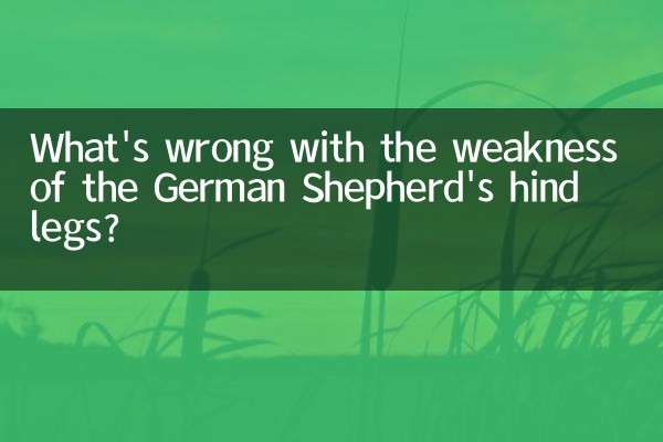 Quel est le problème avec la faiblesse des pattes postérieures du berger allemand ?