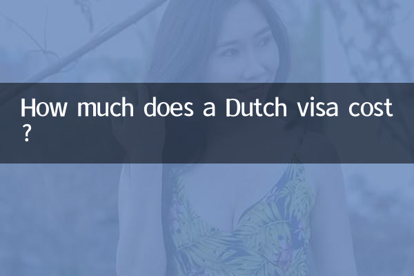 डच वीज़ा की लागत कितनी है?