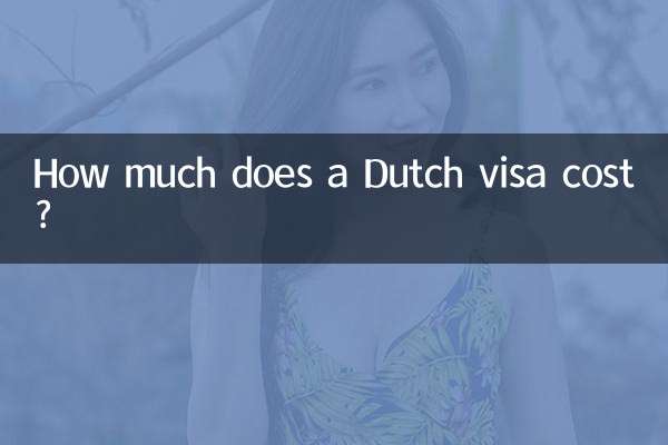 ڈچ ویزا کی قیمت کتنی ہے؟