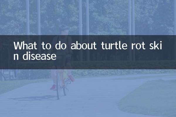 Cosa fare in caso di malattia della pelle da marciume delle tartarughe