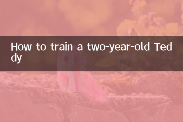 كيفية تدريب تيدي البالغ من العمر عامين