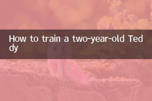 兩歲泰迪怎麼訓練