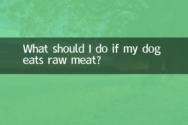 犬が生肉を食べてしまった場合はどうすればよいですか?