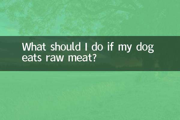 犬が生肉を食べてしまった場合はどうすればよいですか?