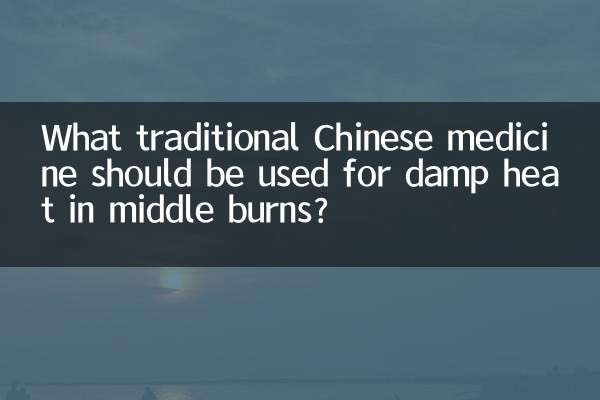 ¿Qué medicina tradicional china se debe utilizar para el calor húmedo en quemaduras medias?