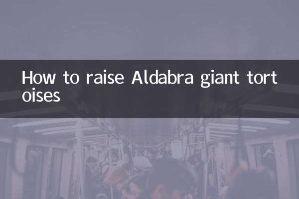 كيفية تربية سلاحف الدبرا العملاقة