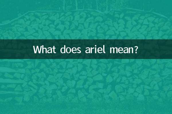 এরিয়েল মানে কি?