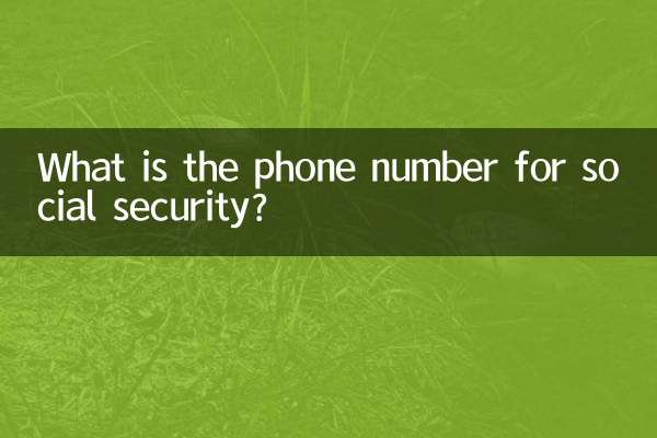 Qual é o número de telefone da segurança social?