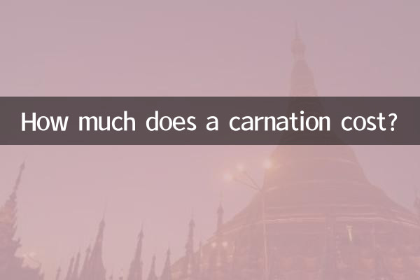 카네이션 가격은 얼마인가요?