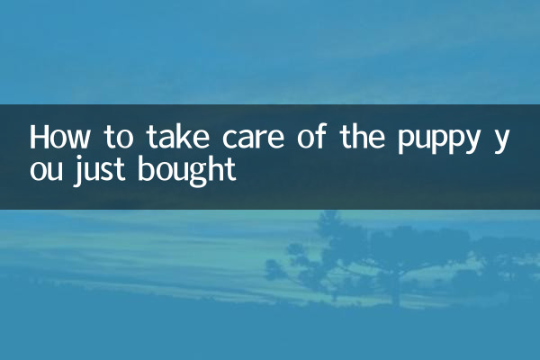 So kümmern Sie sich um den Welpen, den Sie gerade gekauft haben