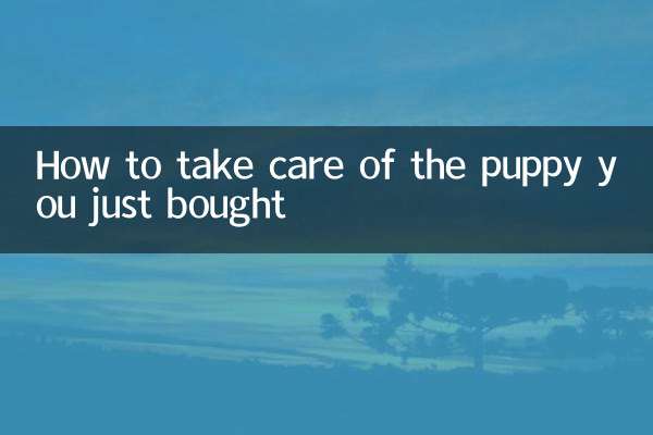 كيف تعتني بالجرو الذي اشتريته للتو