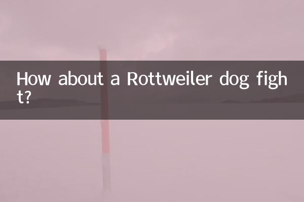 کس طرح روٹ ویلر کتے کی لڑائی کے بارے میں؟