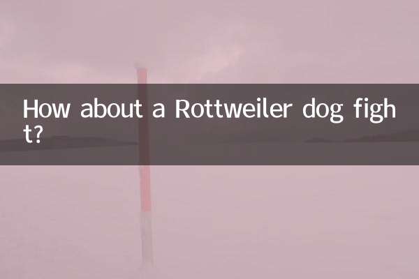 How about a Rottweiler dog fight?