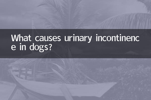 ما الذي يسبب سلس البول في الكلاب؟