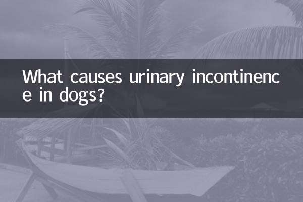What causes urinary incontinence in dogs?