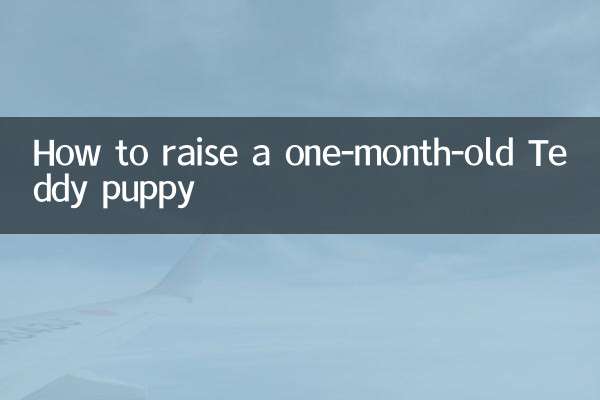 How to raise a one-month-old Teddy puppy