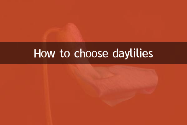 কিভাবে ডেলিলি নির্বাচন করবেন