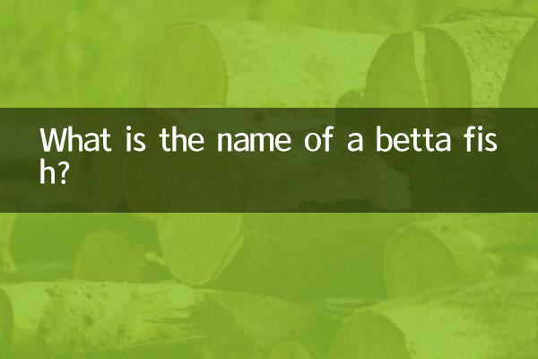 Qual é o nome de um peixe betta?