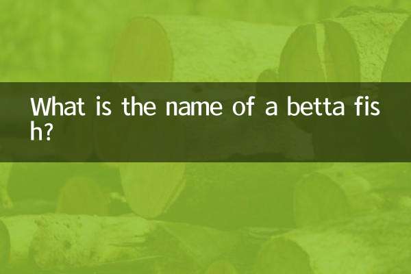 ما هو اسم سمكة البيتا؟