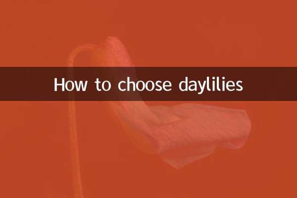 কিভাবে ডেলিলি নির্বাচন করবেন