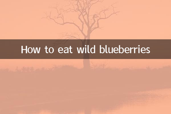야생 블루베리 먹는 방법