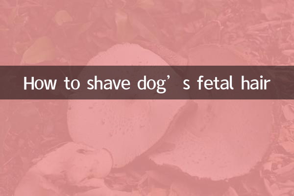 Cómo afeitar el pelo fetal de un perro