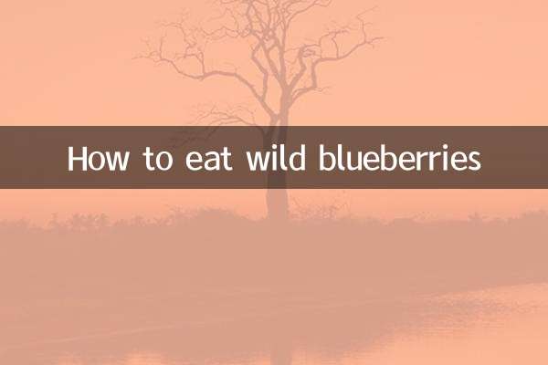 야생 블루베리 먹는 방법