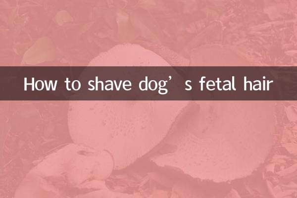 Comment raser les poils fœtaux d'un chien