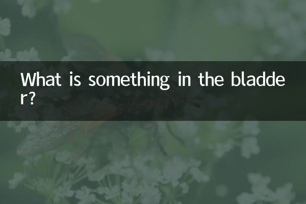 膀胱有东西是什么