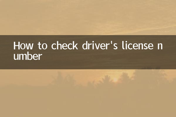 Как проверить номер водительского удостоверения