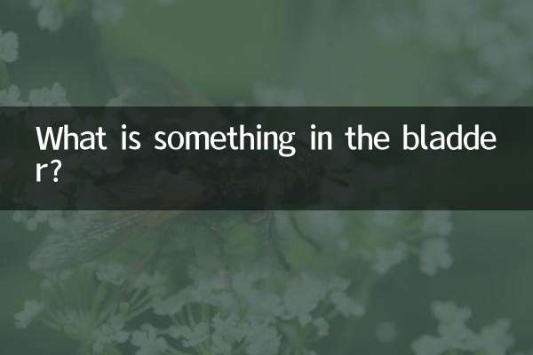 ¿Qué hay algo en la vejiga?