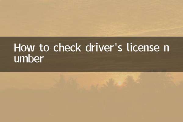 Как проверить номер водительского удостоверения