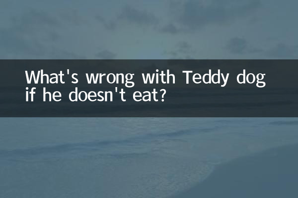 Was ist mit dem Teddy-Hund los, wenn er nicht frisst?