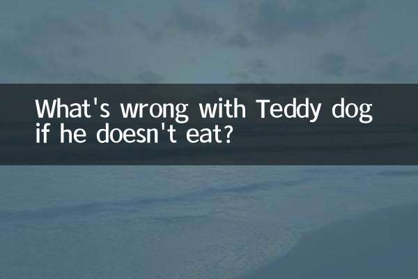 テディドッグが食べなかったらどうしたの？