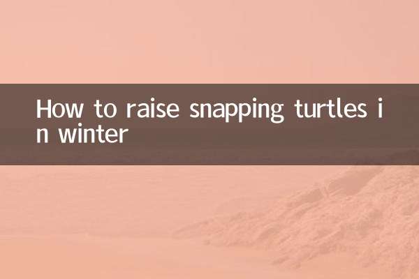 鳄龟冬天怎么养