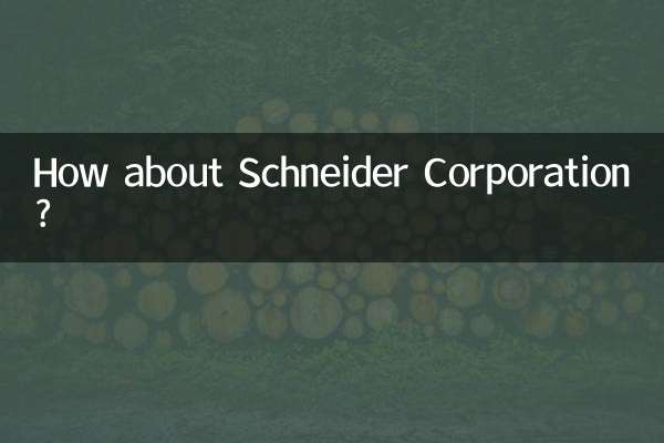 شنائیڈر کارپوریشن کے بارے میں کیا خیال ہے؟