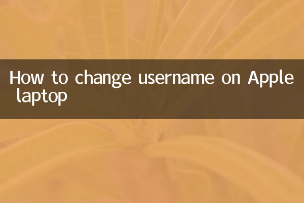 Como alterar o nome de usuário no laptop Apple