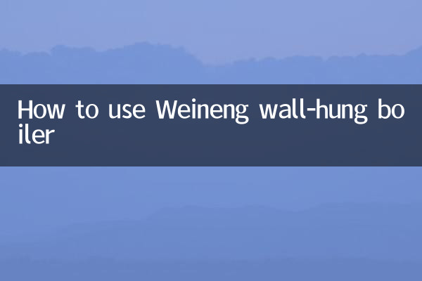 ওয়েইনং ওয়াল-হ্যাং বয়লার কীভাবে ব্যবহার করবেন