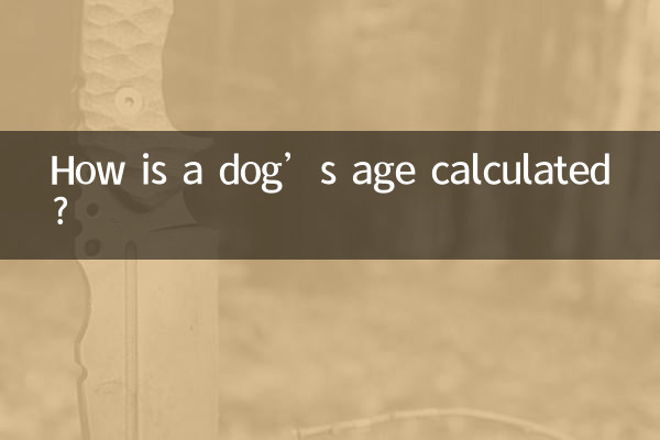 একটি কুকুরের বয়স কিভাবে গণনা করা হয়?