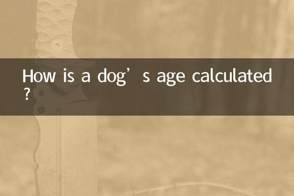 একটি কুকুরের বয়স কিভাবে গণনা করা হয়?