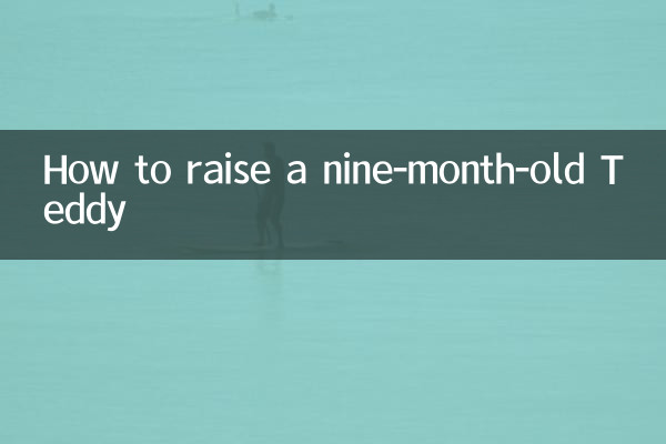 生後9か月のテディの育て方