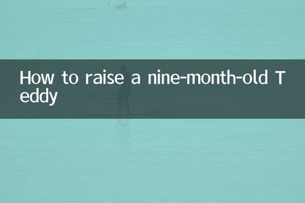 How to raise a nine-month-old Teddy