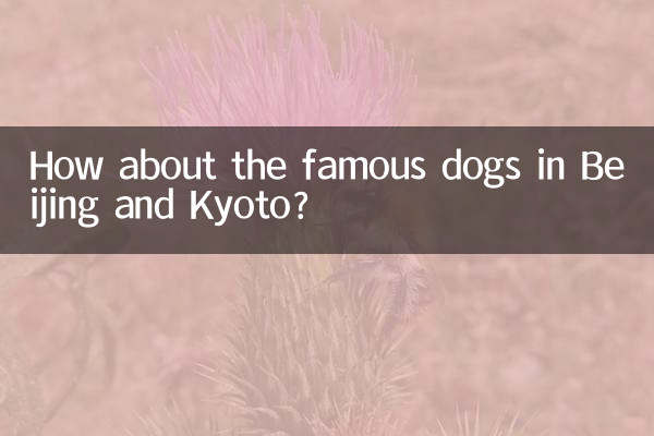 How about the famous dogs in Beijing and Kyoto?