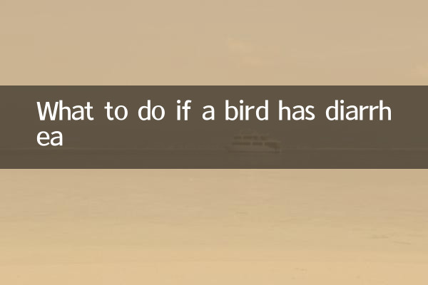 鳥拉肚子怎麼辦